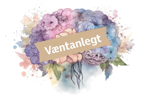 Heilinn og hamingjan